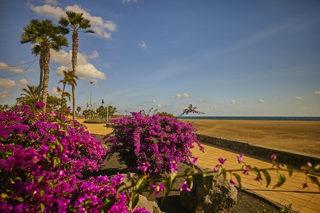 Villa Palmeras Beach Puerto Del Carmen Puerto del Carmen  Extérieur photo